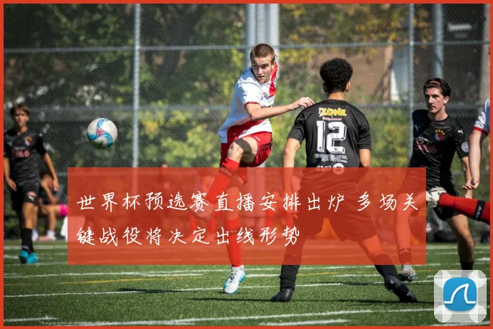 世界杯预选赛直播安排出炉 多场关键战役将决定出线形势